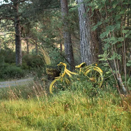 Synnove By Interhome * Gjolanger