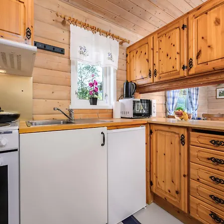 Holiday home Synnove - Fjs551 By Interhome *