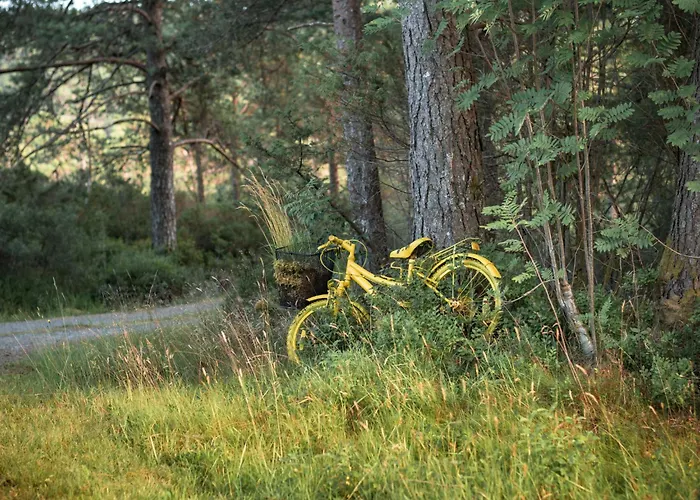 Synnove By Interhome * Gjolanger